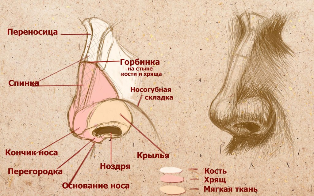 Катетер для пирсинга носа, языка и уха: размеры и как выбрать